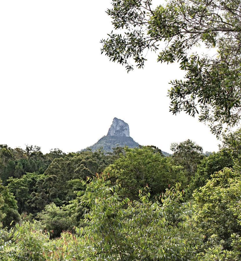 Vetro su Serra Glass House Mountains Esterno foto